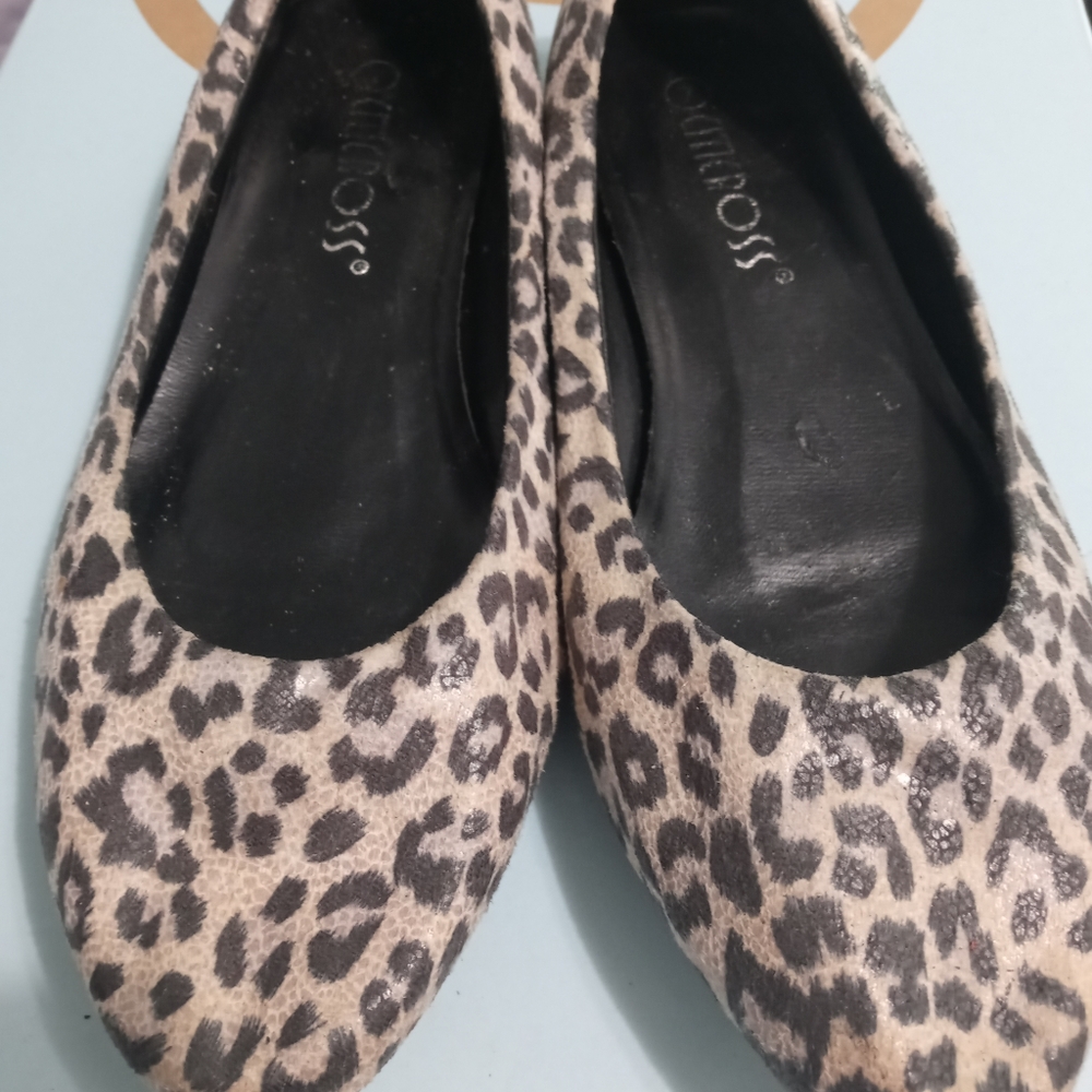 Cheetah Flats - Picture 3 of 5